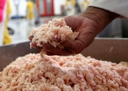 توقیف ۱۵ تن خمیر مرغ غیر بهداشتی در شهرضا