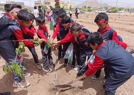 کاشت ۱۶۸ نهال مثمر و غیرمثمر در شهرضا