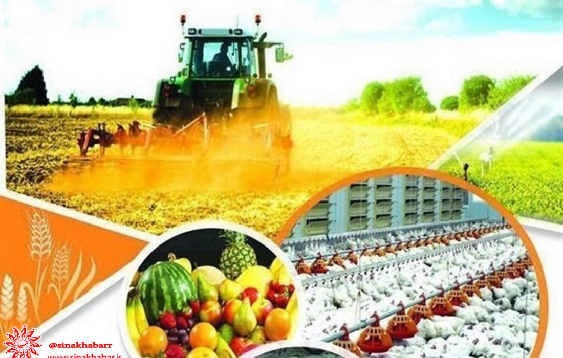 شهرستان شهرضا رتبه اول میزان بیمه محصولات کشاورزی در استان است
