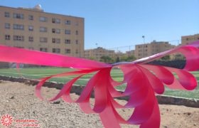 افتتاح و بهره برداری از زمین چمن مصنوعی شهید مرادی در شهرک سروستان شهرضا به مناسبت هفته دولت
