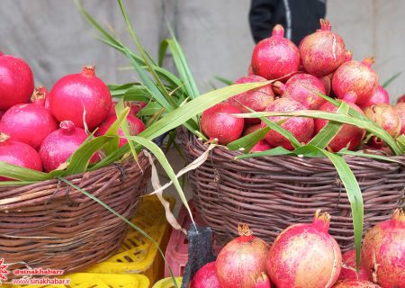 جشنواره ای از جنس یاقوت سرخ در شهر ملی سفال