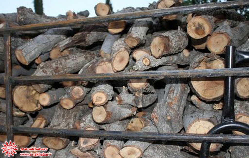 یک تن چوب و ذغال قاچاق در دهاقان کشف شد