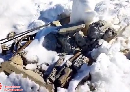 بارش برف سنگین به شبکه برق شهرستان سمیرم خسارت زد