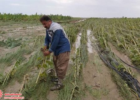 بارش‌های زمستانی به بخش کشاورزی سمیرم خسارت میلیاردی زد