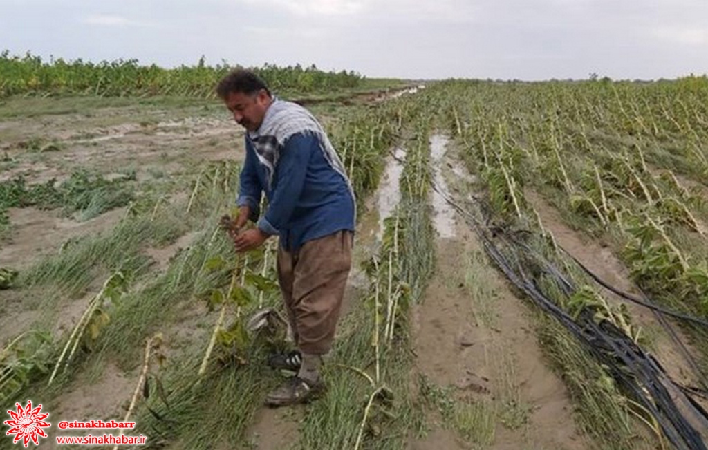 بارش‌های زمستانی به بخش کشاورزی سمیرم خسارت میلیاردی زد