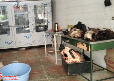 ۱۶ لاشه گوسفند کشتار غیر مجاز در شهرستان شهرضا کشف و ضبط شد