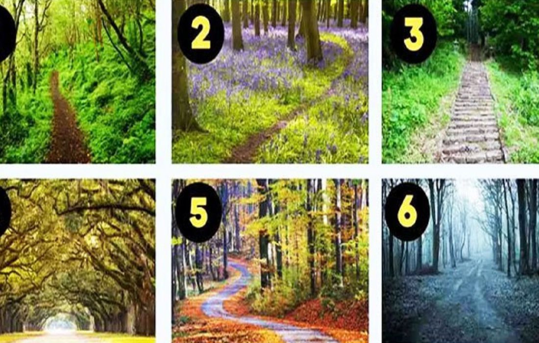یک مسیر جنگلی را انتخاب کنید و عمیق ترین نقاط ضعف خود را بشناسید