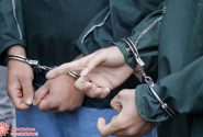 عامل ۲۹ فقره سرقت قطعات خودرو در شهرضا دستگیر شد