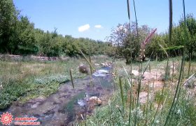 ۳۰۰ کیلومتر کانال‌ آبیاری باغات سمیرم نیاز به نوسازی دارد