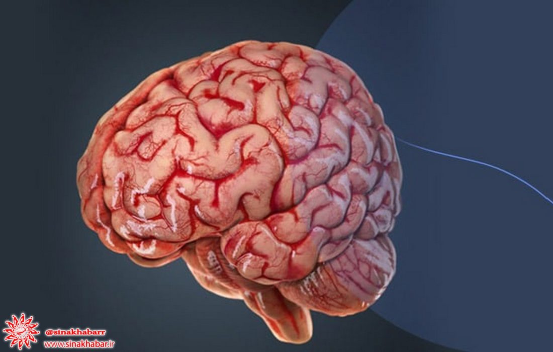 ۳ کاری که مغز را نابود می‌کنند
