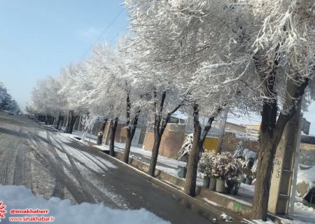 چرا مدارس تعطیل نشد؟