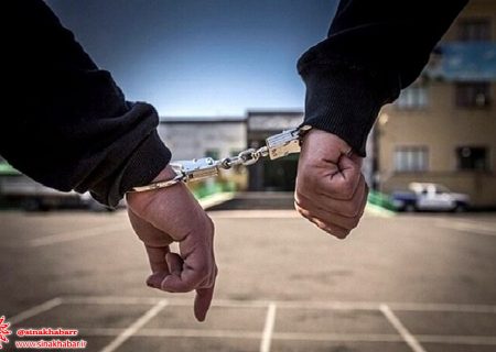 دستگیری ۱۶ متهم حامی رسانه ای در اصفهان