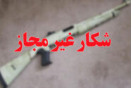دستگیری متخلف شکار و صید قبل از اقدام به شکار در شهرضا