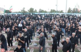 همایش جاماندگان اربعین حسینی در شهرضا(۳)