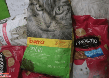 کشف محموله قاچاق غذای حیوانات در شهرضا