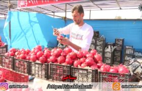 افتتاح هشتمین جشنواره انار شهرضا در روستای امامزاده شاه سید علی اکبر(ع)