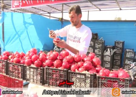 افتتاح هشتمین جشنواره انار شهرضا در روستای امامزاده شاه سید علی اکبر(ع)