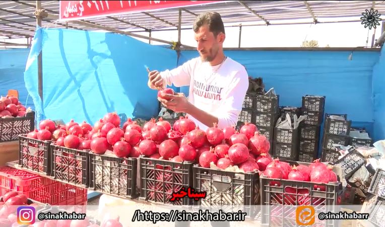 افتتاح هشتمین جشنواره انار شهرضا در روستای امامزاده شاه سید علی اکبر(ع)