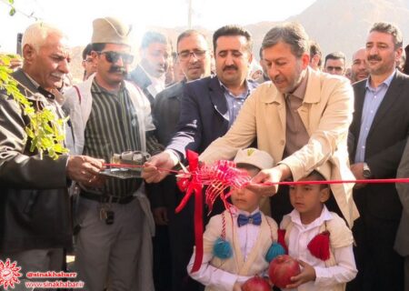 هشتمین جشنواره انار شهرضا در پایتخت انار ایران، روستای امامزاده شاه سید علی اکبر(ع) افتتاح شد