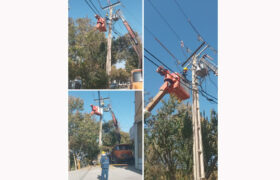 تعویض سکسیونرهای معیوب در شهرضا برای افزایش پایداری شبکه برق