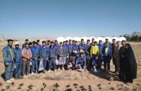 تولید ۲۰ کیلو طلای سرخ در هر هکتار به دست دانش‌آموزان شهرضا