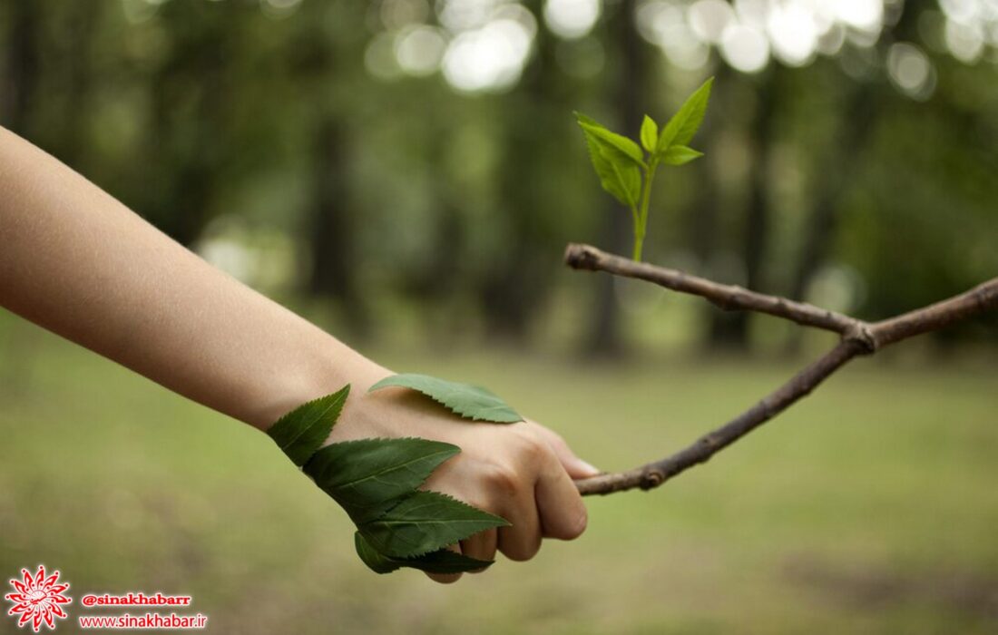 تعداد همیاران طبیعت شهرستان شهرضا از هزار نفر گذشت