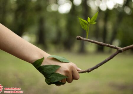 تعداد همیاران طبیعت شهرستان شهرضا از هزار نفر گذشت