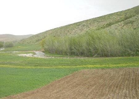 بازگشت ۱۰ هزار مترمربع از اراضی دولتی به بیت‌المال در سمیرم