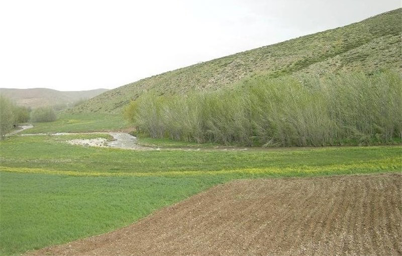 بازگشت ۱۰ هزار مترمربع از اراضی دولتی به بیتالمال در سمیرم