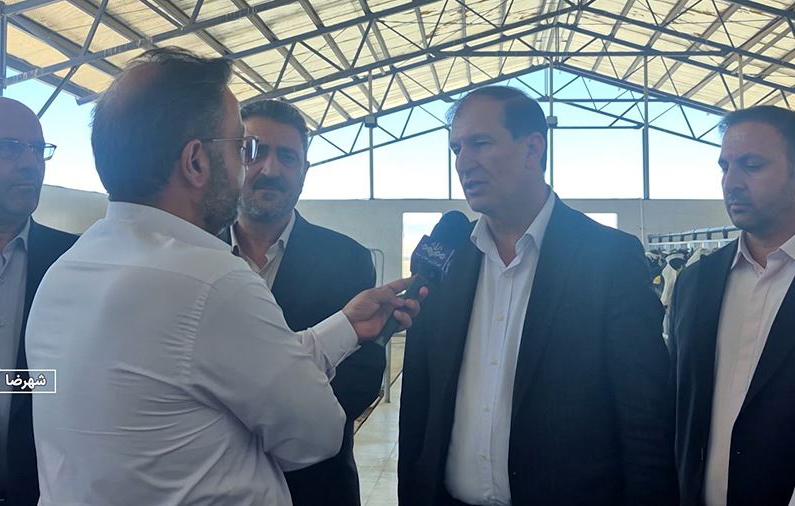 سالانه یک میلیون و ۴۰۰ هزار تن انار در کشور تولید می شود